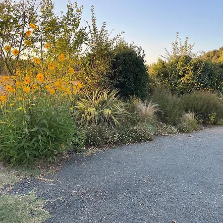 Holiday home Domaine De La Moriniere Commequiers