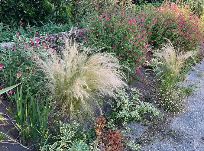 Semesterbostad Domaine De La Moriniere *